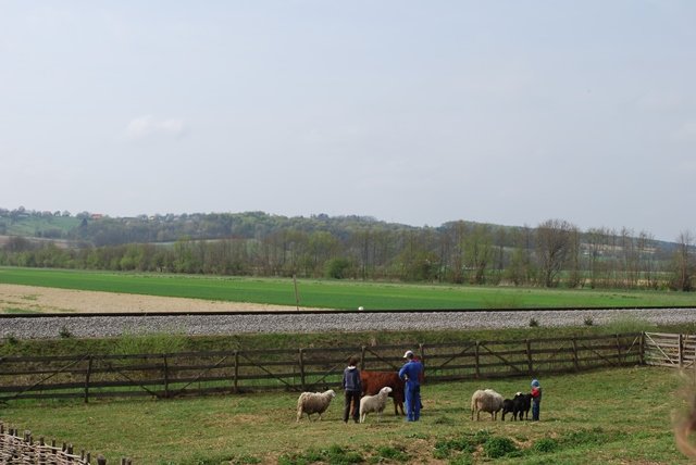 USTVARJALNE DELAVNICE