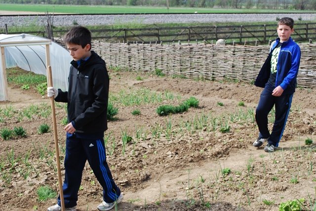 USTVARJALNE DELAVNICE