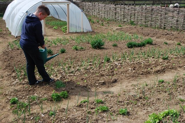 USTVARJALNE DELAVNICE