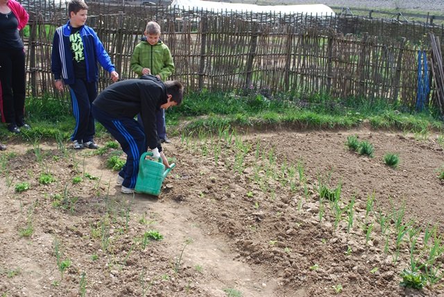 USTVARJALNE DELAVNICE