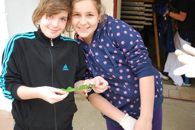 USTVARJALNE DELAVNICE