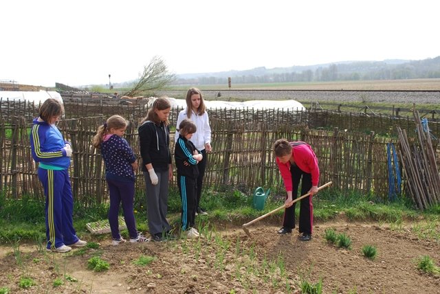 USTVARJALNE DELAVNICE