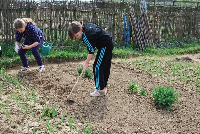 USTVARJALNE DELAVNICE