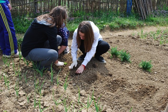 USTVARJALNE DELAVNICE