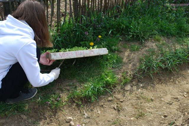 USTVARJALNE DELAVNICE