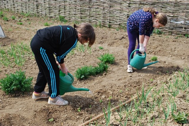 USTVARJALNE DELAVNICE