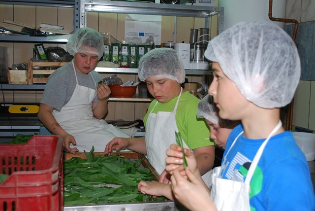 USTVARJALNE DELAVNICE