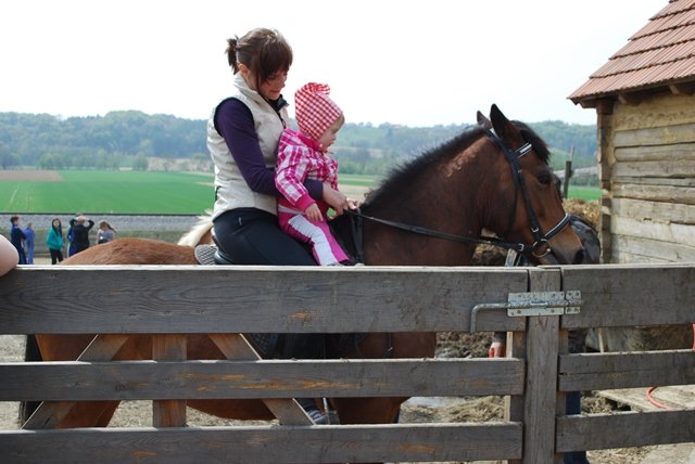 USTVARJALNE DELAVNICE