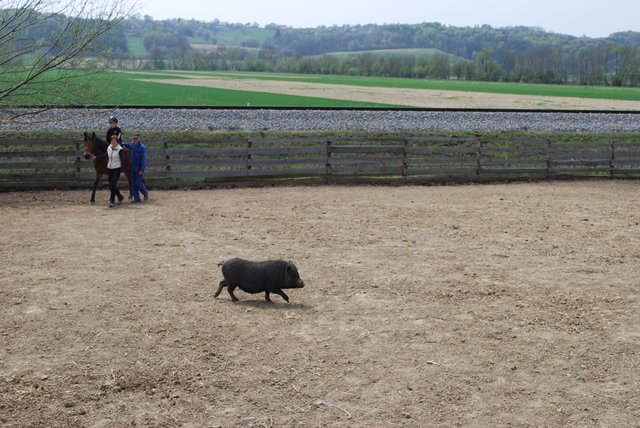 USTVARJALNE DELAVNICE