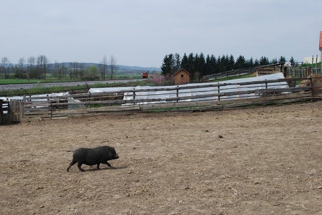 USTVARJALNE DELAVNICE