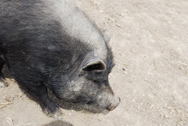 USTVARJALNE DELAVNICE