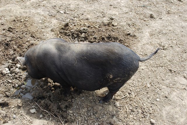 USTVARJALNE DELAVNICE