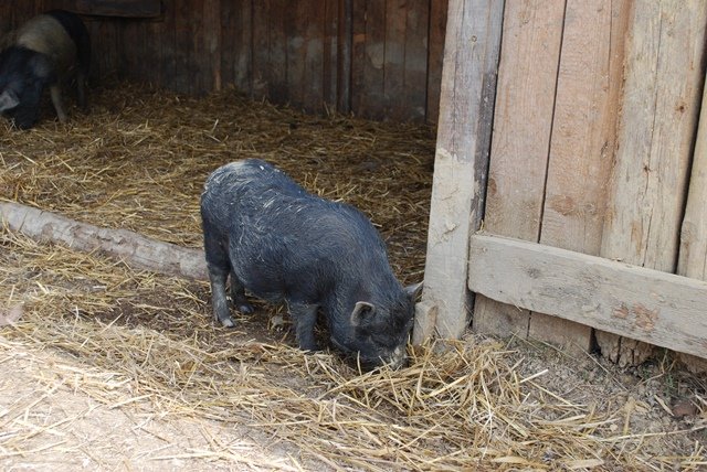 USTVARJALNE DELAVNICE