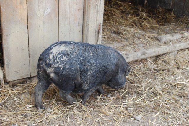 USTVARJALNE DELAVNICE