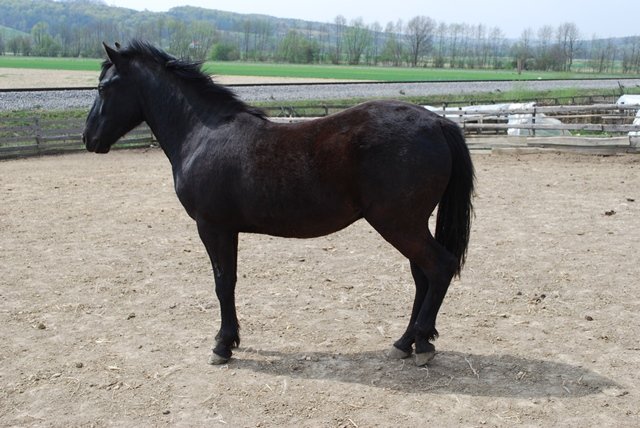 USTVARJALNE DELAVNICE