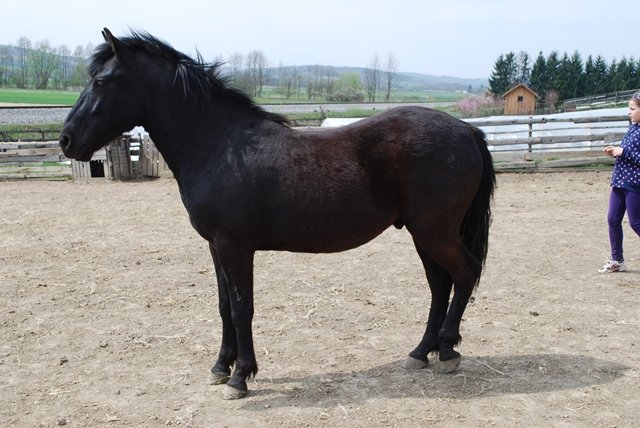 USTVARJALNE DELAVNICE