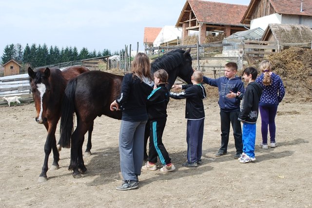 USTVARJALNE DELAVNICE