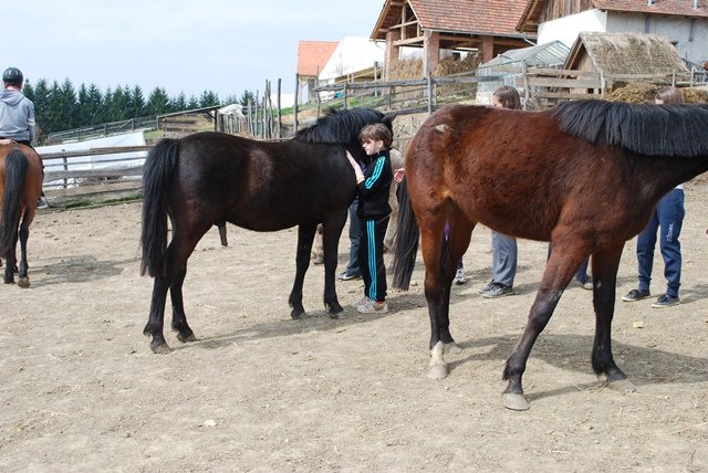 USTVARJALNE DELAVNICE