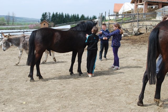 USTVARJALNE DELAVNICE