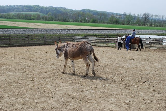 USTVARJALNE DELAVNICE