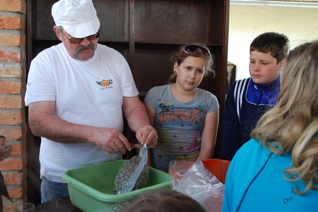 USTVARJALNE DELAVNICE