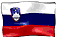 Slovenska verzija