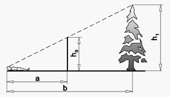 S podobnima trikotnikoma dolo&egrave;imo vi&scaron;ino smreke