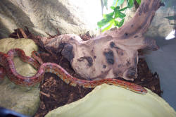 PA POPIJMO MALO VODE.