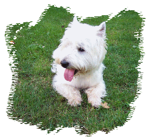 JOJ, KAKO JE VRO�E.