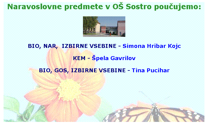 Text Box: Naravoslovne predmete v O� Sostro pou�ujemo:

BIO, NAR,  IZBIRNE VSEBINE - Simona Hribar Kojc
KEM - �pela Gavrilov
BIO, GOS, IZBIRNE VSEBINE - Tina Pucihar

&nbsp;
&nbsp;
&nbsp;&nbsp;&nbsp;&nbsp;&nbsp;&nbsp;&nbsp;&nbsp;&nbsp;&nbsp;&nbsp;&nbsp;&nbsp;&nbsp;&nbsp;&nbsp;&nbsp;&nbsp;&nbsp;&nbsp;&nbsp;&nbsp;&nbsp;&nbsp;&nbsp;&nbsp;&nbsp;&nbsp; 
Avtor spletnih strani in fotografij Simona Hribar Kojc
&nbsp;
&nbsp;
&nbsp;
&nbsp;
