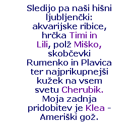 Text Box: Sledijo pa na�i hi�ni ljubljen�ki: akvarijske ribice, hr�ka Timi in Lili,&nbsp;pol� Mi�ko, skob�evki Rumenko in Plavica ter najprikupnej�i ku�ek na vsem svetu Cherubik. Moja zadnja pridobitev je Klea - Ameri�ki go�.
