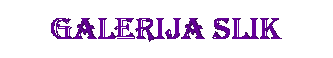 Text Box: GALERIJA SLIK
