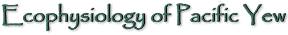 Ecophysiology of Pacific Yew