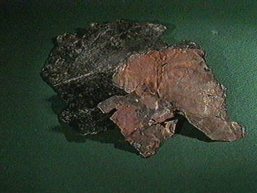Kov05.jpg (23905 bytes)