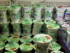 jogurt.JPG (11907 bytes)