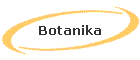 Botanika
