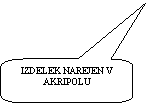 Rounded Rectangular Callout: IZDELEK NAREJEN V AKRIPOLU