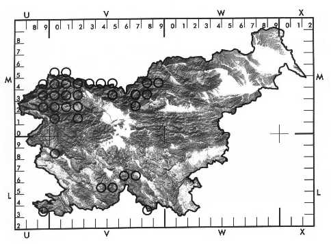 Razirjenost planinskega orla v Sloveniji