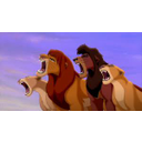 lion_roar4.jpg<>Yes, raa, raa lions!