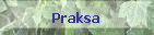 Praksa