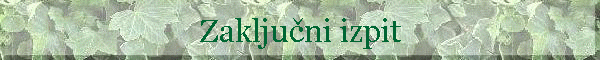 Zaklju�ni izpit