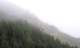 _avg_082_small.jpg