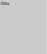 Text Box: Slika