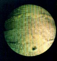 Notranjost cevi posneta z endoskopom (7966 bytes)