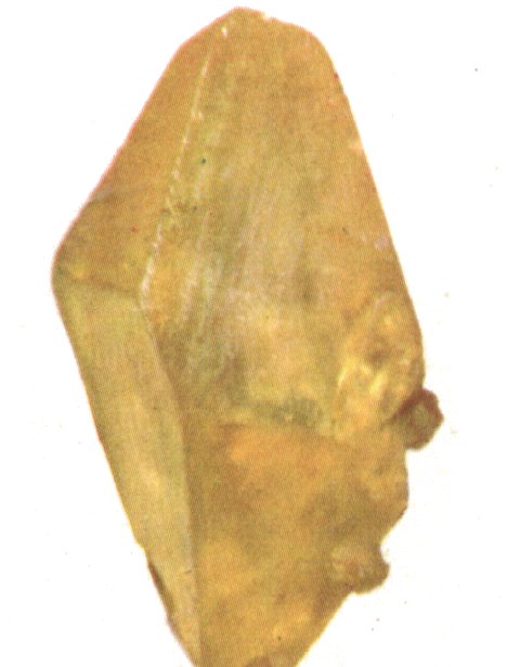 zveplo2.jpg (40004 bytes)