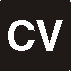 curriculum vitae