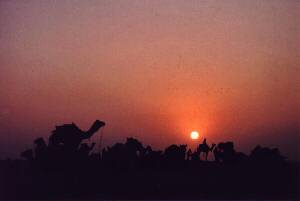 son�ni zahoh v pu��avi Khuri