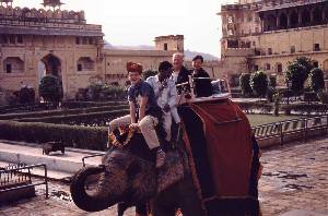 Jaipur: s slonom do trdnjave