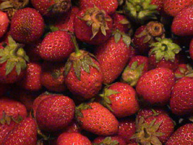 Mnjam-mnjam (a sigh of little Julija when she eats something good), 2002