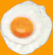 Object of The Month August 2000